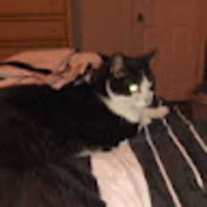 Meet your Posher, Walter